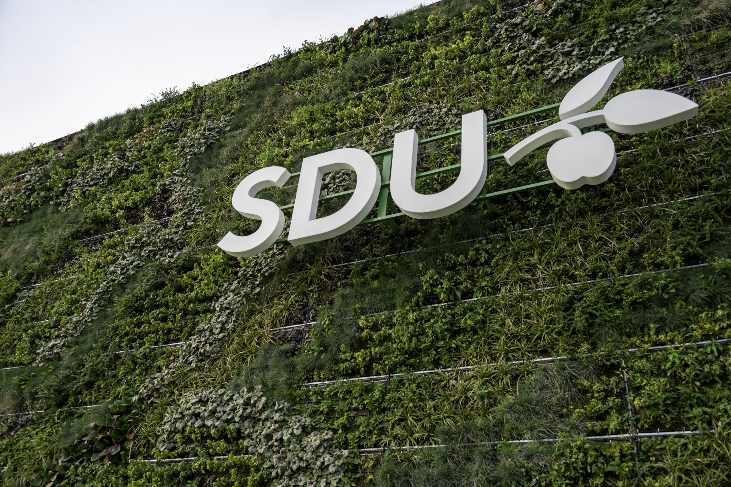 SDUs logo hængende på en grøn væg udenfor.