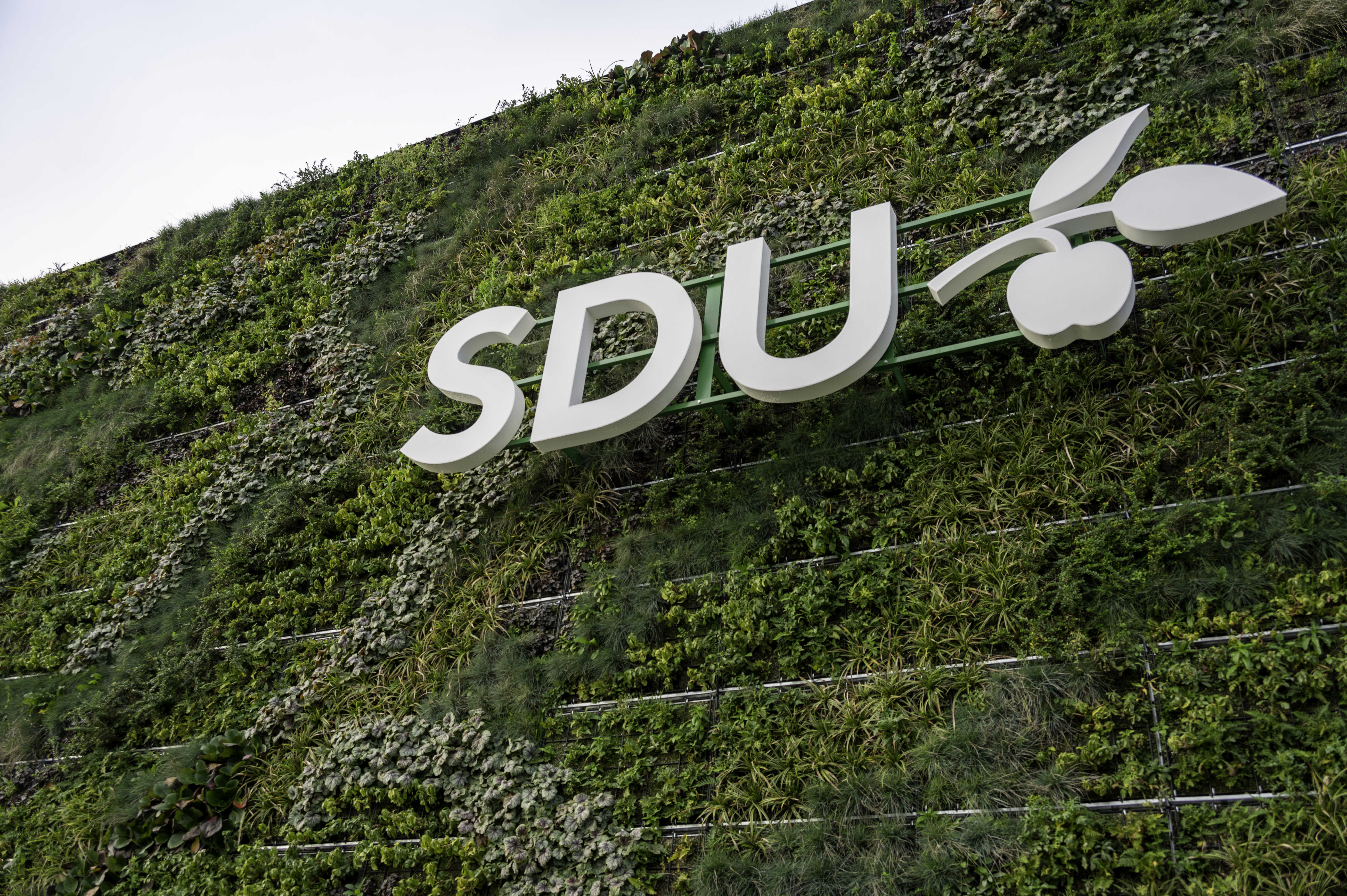 SDUs logo hængende på en grøn væg udenfor.